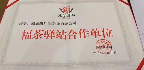 福茶驛站攜手合作企業(yè)，借僑優(yōu)勢(shì)揚(yáng)帆出海，共謀茶業(yè)新篇章